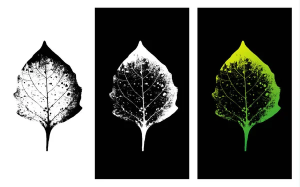 Silhouettes réalistes à base de plantes — Image vectorielle
