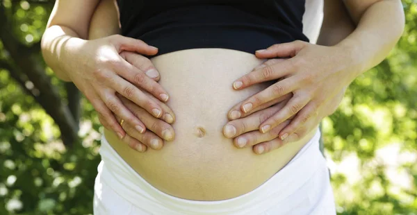 手在怀孕的女孩的腹部对一个微型股票的绿色背景照片 — 图库照片