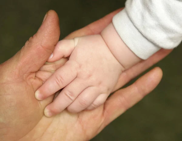 Bebê e mãos foto — Fotografia de Stock