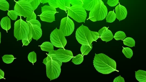 Many bright green leaves in space, computer generated abstract background, 3D render — Stock Video