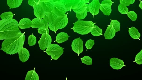 Viele leuchtend grüne Blätter im Raum, computergenerierter abstrakter Hintergrund, 3D-Renderer — Stockvideo