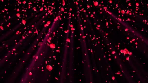 Uçan kırmızı gül yaprakları, düğün ve romantik tarzı olan soyut arkaplan, 3D oluşturulmuş bilgisayar arka planı — Stok video