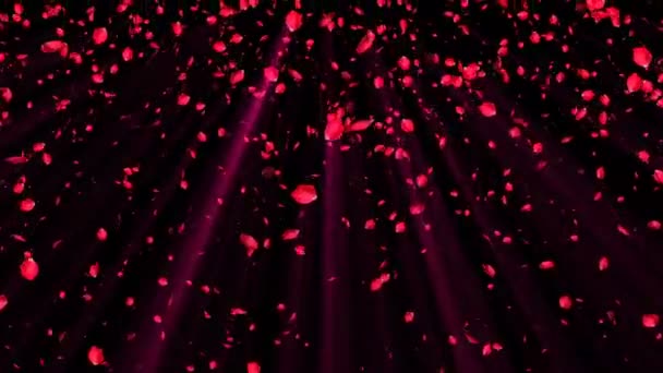 Uçan kırmızı gül yaprakları, düğün ve romantik tarzı olan soyut arkaplan, 3D oluşturulmuş bilgisayar arka planı — Stok video