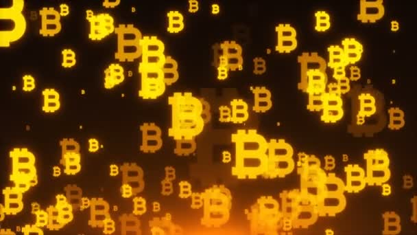 Many gold bitcoin symbols are in space, business 3d rendering background, internet backdrop — Stock Video