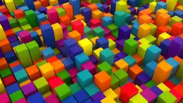 3d render background with many rows of bright colorful cubes, computer generated backdrop — Stock Video