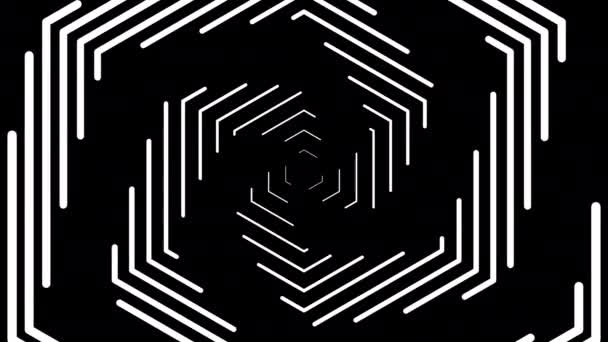 抽象的な幾何学的な白のストローク、ライン、コンピューター生成背景、3 d レンダリングのバック グラウンドを回転スパイラル — ストック動画