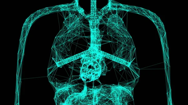 Anatomia modelu ludzkiego ciała z punktami połączenia, 3D rendering tła, koncepcja medyczna — Zdjęcie stockowe