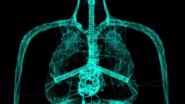 Anatomické modelování lidského těla s body připojení, pozadí 3D vykreslování, lékařský koncept — Stock video