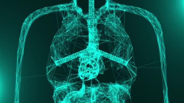 Anatomia modelo do corpo humano com pontos de conexão, fundo de renderização 3d, conceito médico — Vídeo de Stock