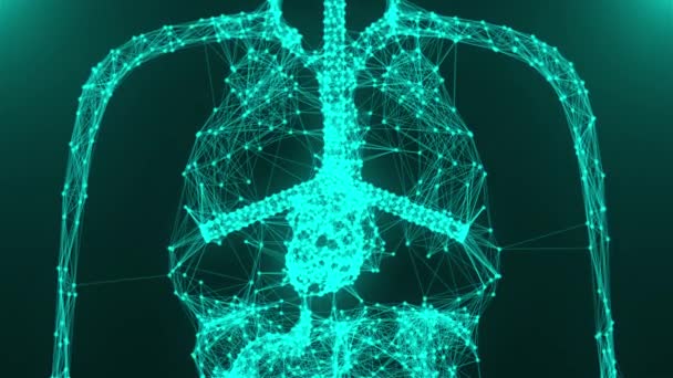 Anatomie menschliches Körpermodell mit Verbindungspunkten, 3D-Rendering-Hintergrund, medizinisches Konzept — Stockvideo