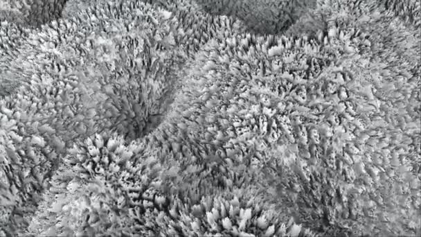 3d 抽象表面,如波浪或毛皮表面,计算机生成的 3D 渲染背景(如地形) — 图库视频影像