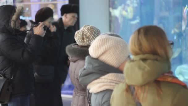 Koersk, Rusland-18 februari 2018: mensen kijken naar het aquarium — Stockvideo