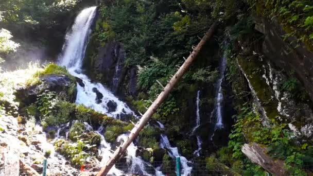 Красивый свежий водопад среди высоких скал и зелени в Сочи, Россия — стоковое видео