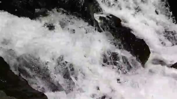 Mooie frisse waterval tussen hoge rotsen witste groen in Sotsji, Rusland — Stockvideo