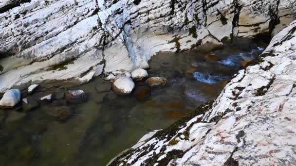 Красивая горная река в летний солнечный день в овраге, вода среди камней — стоковое видео