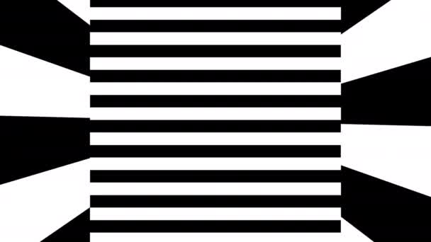 Black and white stripes. Computer generated abstract background, 3D render — Stock Video