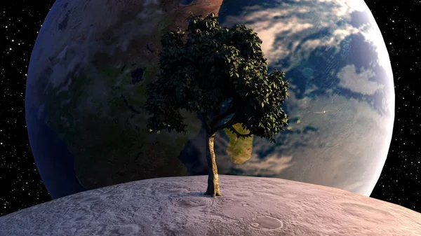 Дерево на Місяці перед Землею на тлі небесних тіл і зірок. Комп'ютер створював футуристичну композицію. 3D-рендеринг елементів цього зображення, наданий НАСА — стокове фото