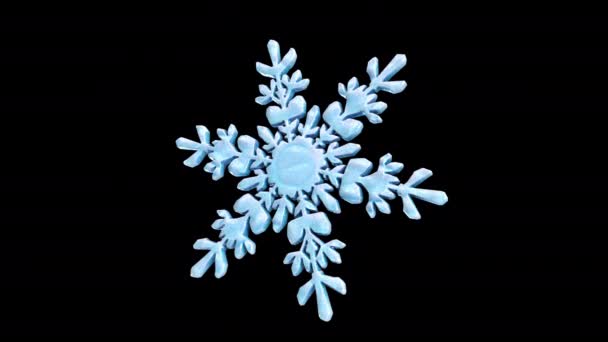 Roterende kristallen sneeuwvlok tegen zwart, computer gegenereerd. 3d weergave van de winter achtergrond — Stockvideo