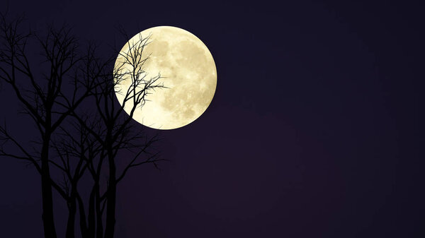Full moon and tree artwork on dark night background- Artwork for Halloween festival - 3D Illustration