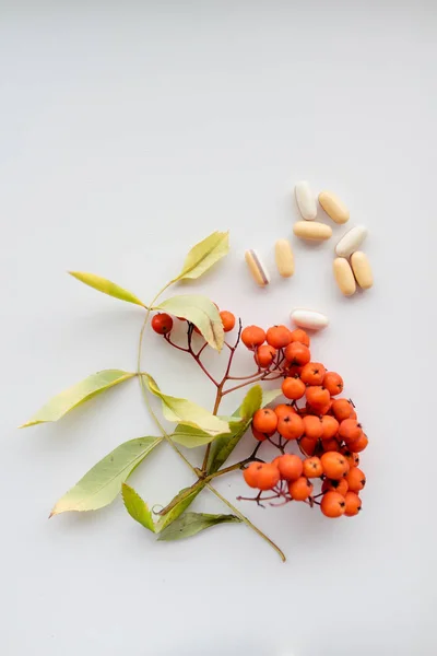 散的丸对一个白色的背景和秋浆果和树叶 — 图库照片