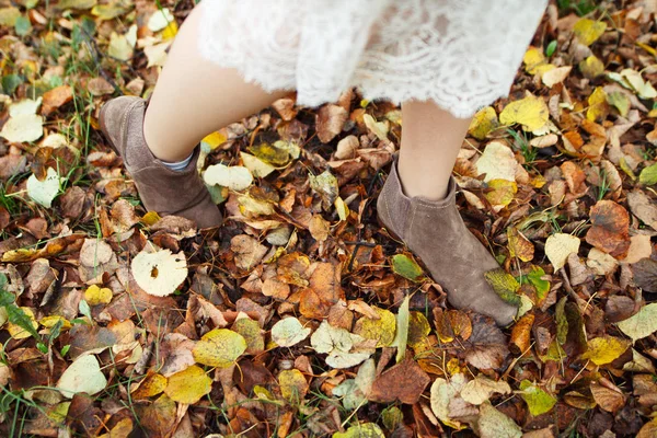 Frauenwarme Schuhe Herbstlaub Und Gras — Stockfoto