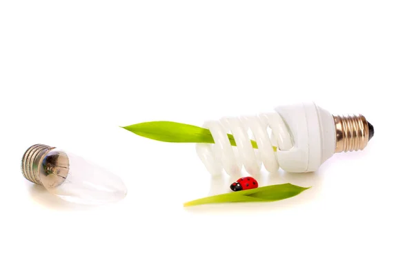 Yeşil yapraklı bir eko ampul ve beyaz arka planda izole edilmiş bir eski ampul.