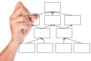 el bir beyaz tahta üzerinde kuruluş şeması çizimi 