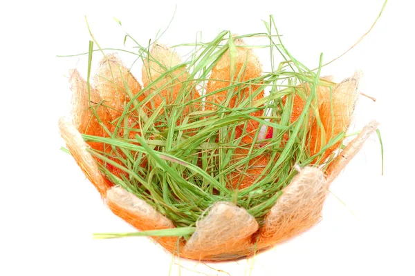 beyaz zemin üzerine yeşil çim ile boş Paskalya sepeti