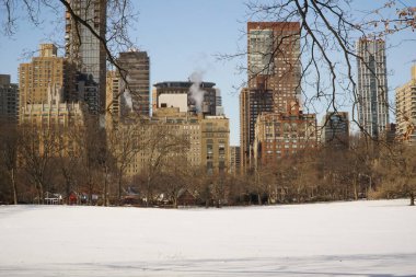 New York 'taki Central Park güzel ve karlı bir manzaraya dönüşür.