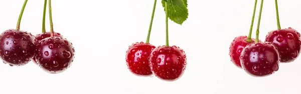 Cherry Hang Rope Isolate Ripe Berries Banner — Stock Photo, Image