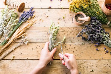 Eller, toplama tıbbi yabani otlar tedavi ahşap arka plan Vintage kırsal ülke tarzı, makas