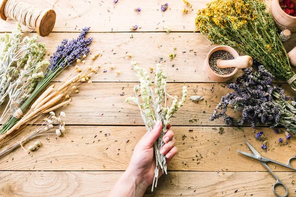 Tangan Wanita Gathering Medicinal Wild Herbs Treatment Wooden Background Vintage — Stok Foto