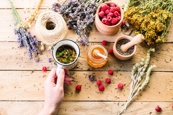 Tazza Con Decotto Alle Erbe Mano Una Donna Raccolta Erbe — Foto Stock