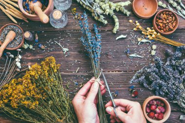 Kadın el grup alternatif şifalı otlar ahşap arka plan Vintage ülke stil Stump, Lirası