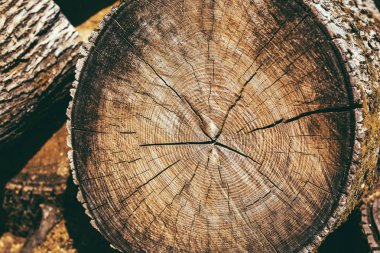 Günlüğü günlükleri kereste doğal yakıt ahşap doku