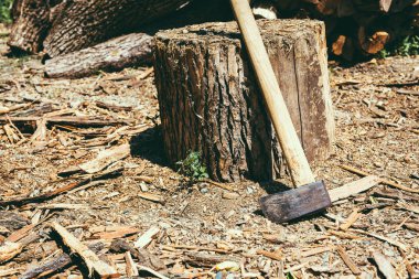 Yakacak odun hasat günlük oduncu yakınındaki balta