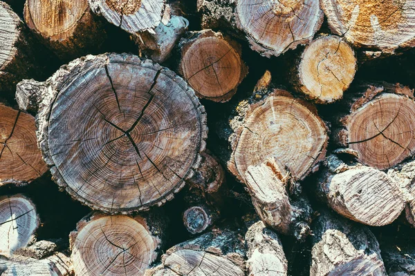 Günlüğü günlükleri kereste doğal yakıt ahşap doku