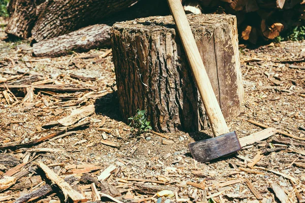 Yakacak odun hasat günlük oduncu yakınındaki balta