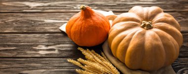 Kabak fındık anason ve buğday ahşap arka plan üzerinde