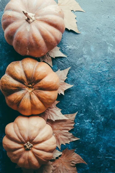 Calabazas Hojas Arce Sobre Fondo Piedra Azul Estilo Retro Acción — Foto de Stock