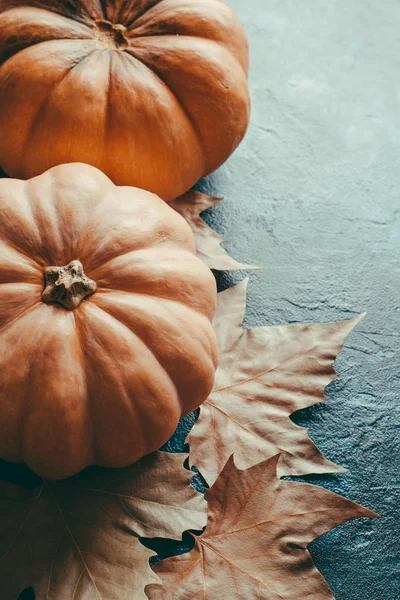 Calabazas Hojas Arce Sobre Fondo Piedra Azul Estilo Retro Acción — Foto de Stock