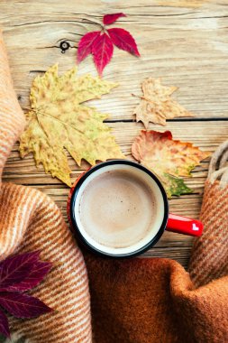 kakao, kırmızı kupa, ekose ve düşmüş yaprak, Sonbahar ruh hali, rahat, sıcak çikolata