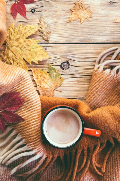 ココア 赤いマグカップ 格子縞および落とされた葉 秋の気分 居心地の良い ホット チョコレート — ストック写真