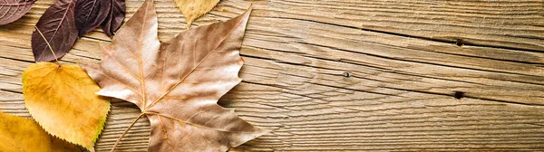 Autunno Oro Cornice Foglie Cadute Fondo Legno Concetto Spazio Copia — Foto Stock