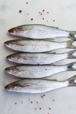 Balık, taze barbunya, gri arka plan, catch, yakın çekim