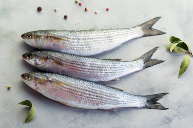 Balık, taze barbunya, gri arka plan, catch, yakın çekim