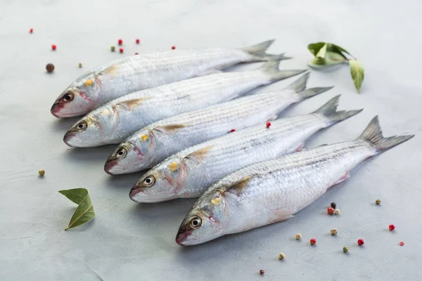 Pesce Triglia Fresca Fondo Grigio Cattura Primo Piano — Foto Stock