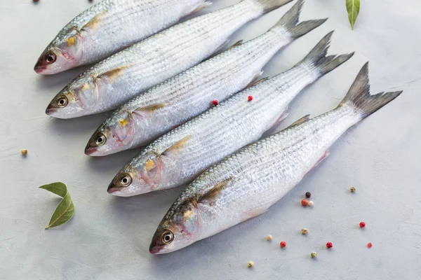 Peixe Tainha Fresca Fundo Cinza Captura Close — Fotografia de Stock