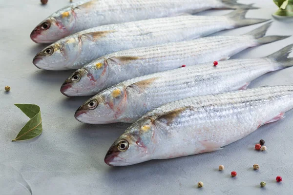 Pesce Triglia Fresca Fondo Grigio Cattura Primo Piano — Foto Stock