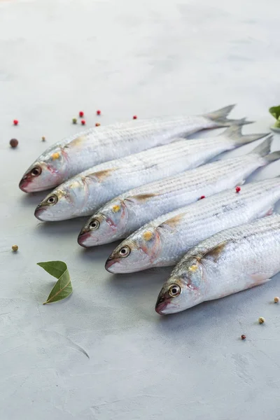 Fish Fresh Mullet Gray Background Catch Close — Stock Photo, Image